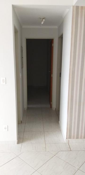 imagem 4 - Apartamento - Padrão imagem 4 - Apartamento - Padrão