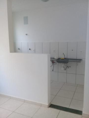 imagem 4 - Apartamento - Padrão imagem 4 - Apartamento - Padrão