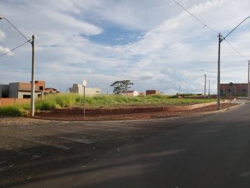 Alugar Terreno / Padrão em Mirassol. apenas R$ 80.000,00