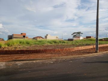 imagem 3 - Terreno - Padrão imagem 3 - Terreno - Padrão