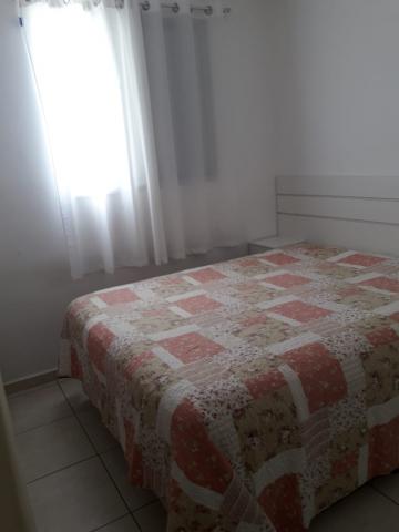 imagem 5 - Apartamento - Padrão imagem 5 - Apartamento - Padrão