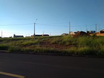 Alugar Terreno / Padrão em São José do Rio Preto. apenas R$ 220.000,00