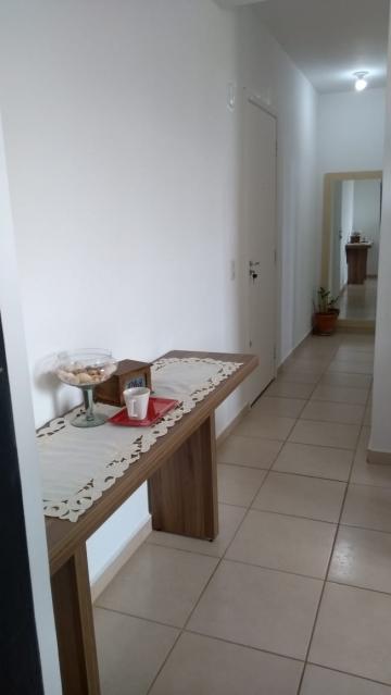 imagem 3 - Apartamento - Padrão imagem 3 - Apartamento - Padrão