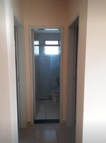 imagem 2 - Apartamento - Padrão imagem 2 - Apartamento - Padrão