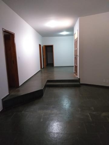 imagem 5 - Casa - Padrão imagem 5 - Casa - Padrão