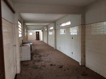 imagem 3 - Comercial - Barracão imagem 3 - Comercial - Barracão