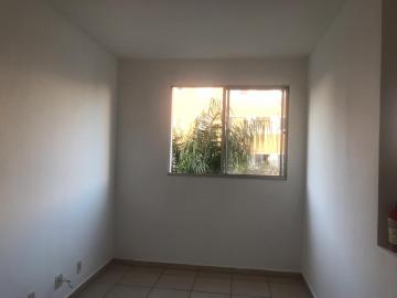 Alugar Apartamento / Padrão em São José do Rio Preto. apenas R$ 600,00
