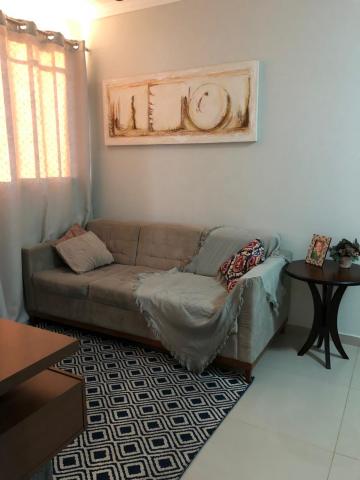 imagem 3 - Apartamento - Padrão imagem 3 - Apartamento - Padrão
