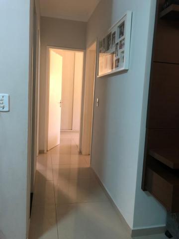 imagem 5 - Apartamento - Padrão imagem 5 - Apartamento - Padrão
