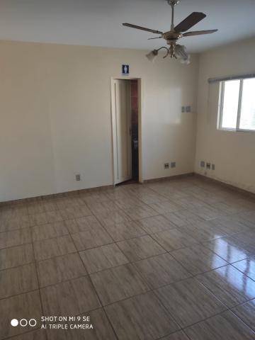 imagem 5 - Comercial - Barracão imagem 5 - Comercial - Barracão