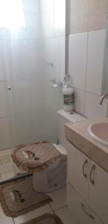 imagem 4 - Apartamento - Padrão imagem 4 - Apartamento - Padrão