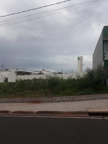 imagem 1 - Terreno - Padrão imagem 1 - Terreno - Padrão