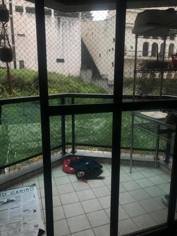 imagem 2 - Apartamento - Padrão imagem 2 - Apartamento - Padrão