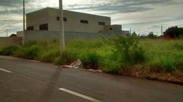 Alugar Terreno / Padrão em São José do Rio Preto. apenas R$ 130.000,00