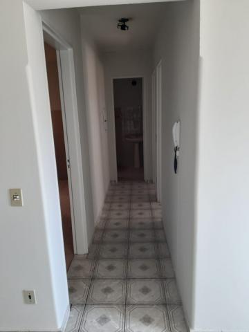 imagem 3 - Apartamento - Padrão imagem 3 - Apartamento - Padrão