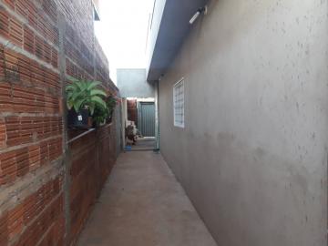 imagem 5 - Casa - Padrão imagem 5 - Casa - Padrão