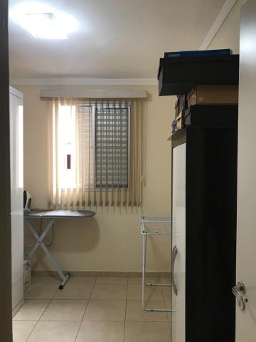 imagem 3 - Apartamento - Padrão imagem 3 - Apartamento - Padrão