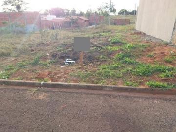 imagem 1 - Terreno - Padrão imagem 1 - Terreno - Padrão