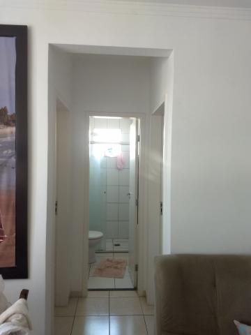 imagem 2 - Apartamento - Padrão imagem 2 - Apartamento - Padrão