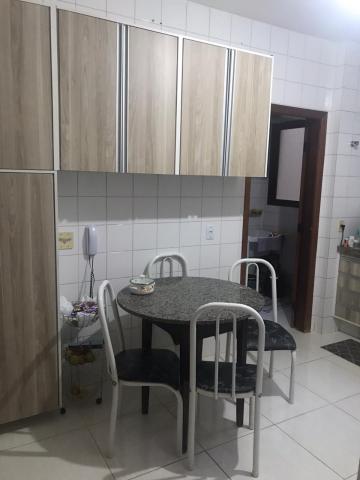 imagem 3 - Apartamento - Padrão imagem 3 - Apartamento - Padrão