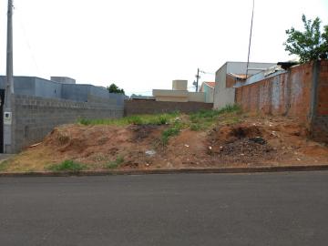 imagem 5 - Terreno - Padrão imagem 5 - Terreno - Padrão