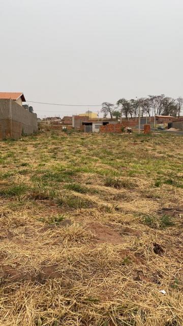 imagem 1 - Terreno - Padrão imagem 1 - Terreno - Padrão