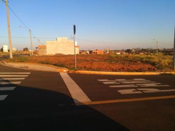 imagem 1 - Terreno - Padrão imagem 1 - Terreno - Padrão