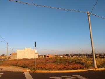 imagem 2 - Terreno - Padrão imagem 2 - Terreno - Padrão