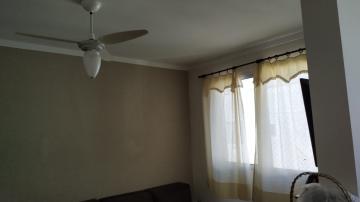 imagem 1 - Apartamento - Padrão imagem 1 - Apartamento - Padrão