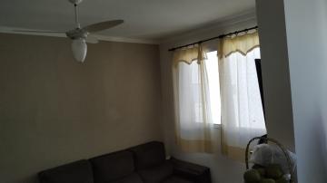 imagem 4 - Apartamento - Padrão imagem 4 - Apartamento - Padrão