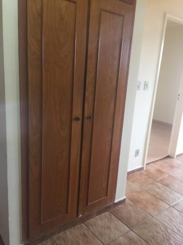 imagem 4 - Apartamento - Padrão imagem 4 - Apartamento - Padrão