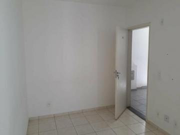 Alugar Apartamento / Padrão em São José do Rio Preto. apenas R$ 160.000,00