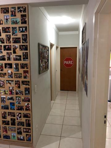 imagem 3 - Apartamento - Padrão imagem 3 - Apartamento - Padrão