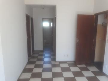 imagem 5 - Apartamento - Padrão imagem 5 - Apartamento - Padrão