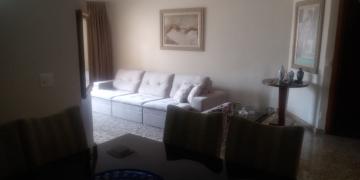 imagem 3 - Apartamento - Padrão imagem 3 - Apartamento - Padrão