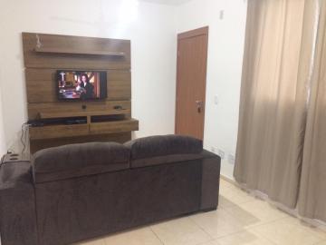 Alugar Apartamento / Padrão em São José do Rio Preto. apenas R$ 165.000,00