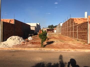 imagem 2 - Terreno - Padrão imagem 2 - Terreno - Padrão