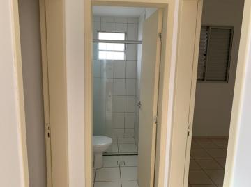 imagem 2 - Apartamento - Padrão imagem 2 - Apartamento - Padrão
