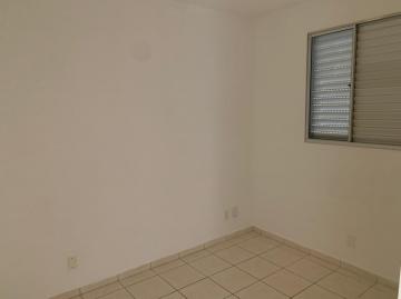 imagem 3 - Apartamento - Padrão imagem 3 - Apartamento - Padrão