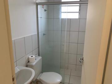 imagem 4 - Apartamento - Padrão imagem 4 - Apartamento - Padrão