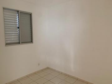 imagem 5 - Apartamento - Padrão imagem 5 - Apartamento - Padrão