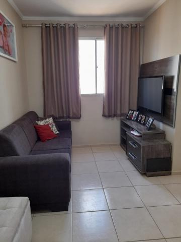 imagem 1 - Apartamento - Padrão imagem 1 - Apartamento - Padrão