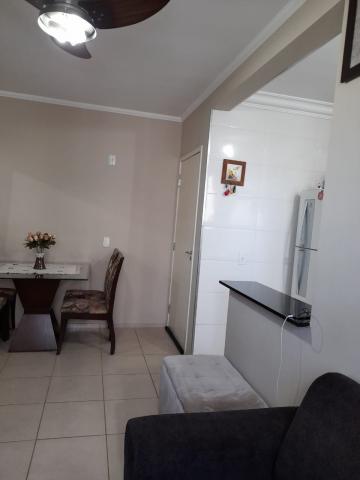 imagem 5 - Apartamento - Padrão imagem 5 - Apartamento - Padrão