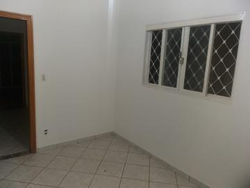 imagem 5 - Casa - Padrão imagem 5 - Casa - Padrão