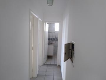 imagem 2 - Apartamento - Padrão imagem 2 - Apartamento - Padrão