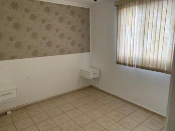 imagem 3 - Apartamento - Padrão imagem 3 - Apartamento - Padrão