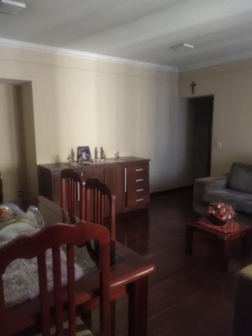 imagem 2 - Apartamento - Padrão imagem 2 - Apartamento - Padrão