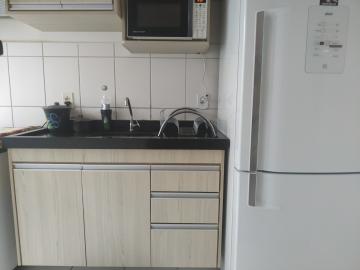 imagem 4 - Apartamento - Padrão imagem 4 - Apartamento - Padrão