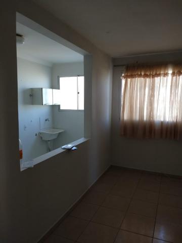 Alugar Apartamento / Padrão em São José do Rio Preto. apenas R$ 135.000,00