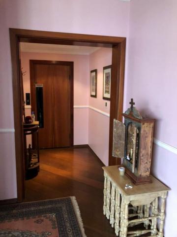 imagem 4 - Apartamento - Padrão imagem 4 - Apartamento - Padrão